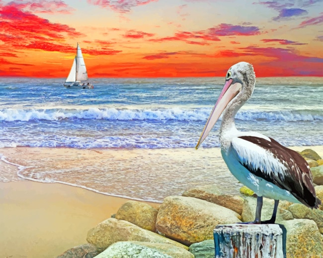 Sail Boat And Pelican Seascapes Painting By Numbers.png