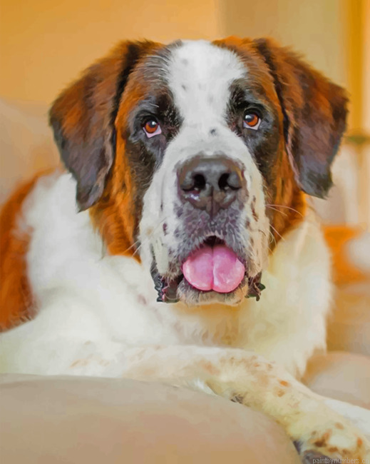 Saint Bernard Painting By Numbers.png