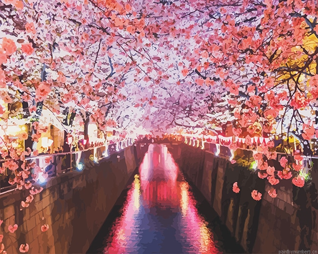 Sakura Cherry Blossom Japan Painting By Numberss.png