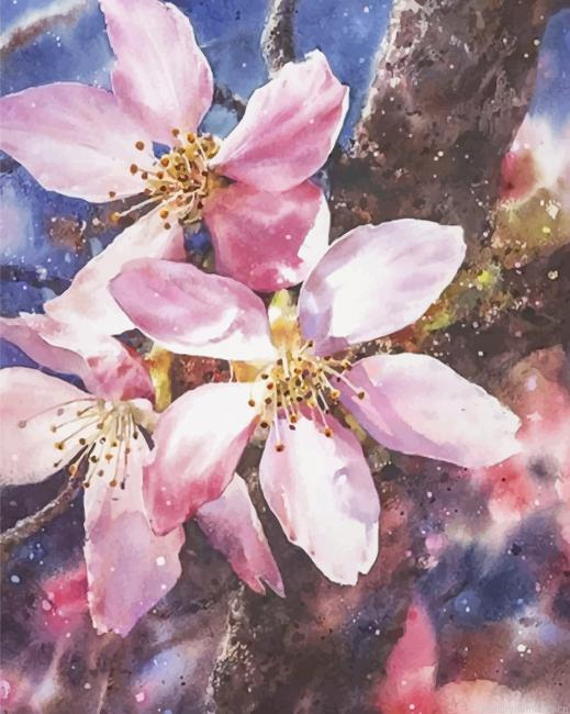 Sakura Cherry Blossom Painting By Numberss.png