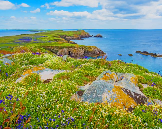 Saltee Island Great Ireland Seascapes Painting By Numberss.png