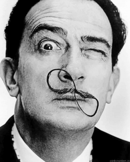 Salvador Dali Infinity Mustache Painting By Numberss.png