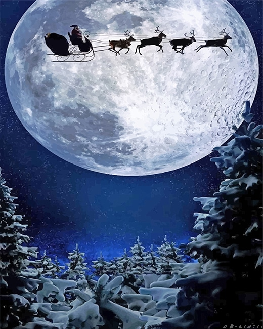 Santa Claus And His Sleigh Christmas Painting By Numberss.png