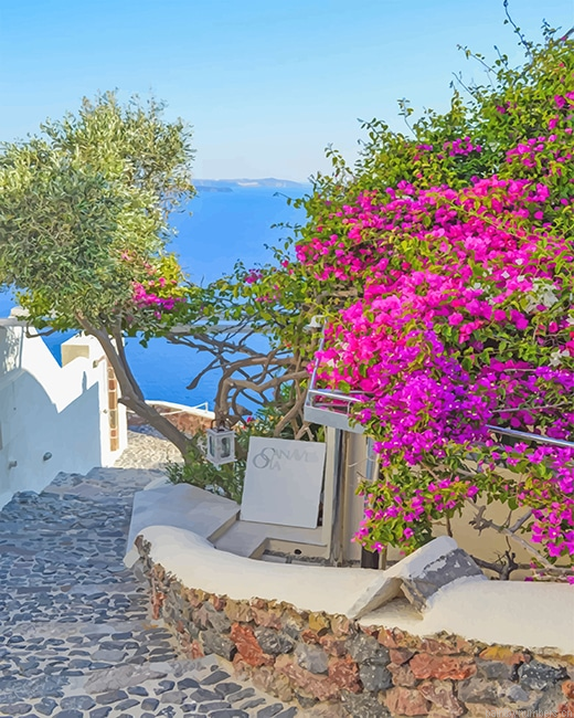 Santorini Greece Pink Flowers Painting By Numberss.png