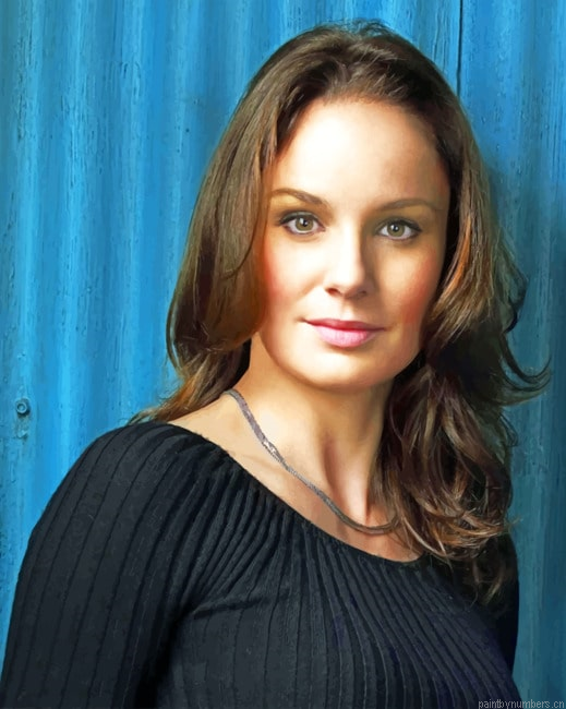 Sarah Wayne Callies Actors Painting By Numberss.png