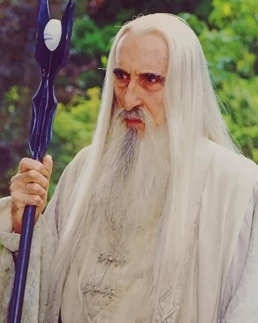 Saruman Character Painting By Numberss.png