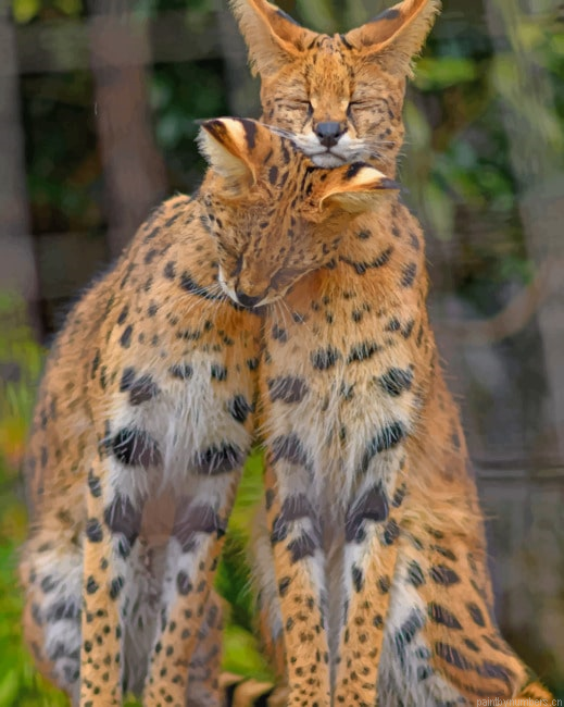 Savannah Cats Animals Painting By Numberss.png