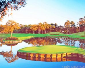 Sawgrass Golf Course Painting By Numbers.png