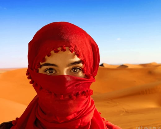 Scarf Eyes Glance In Desert Sand Painting By Numberss.png