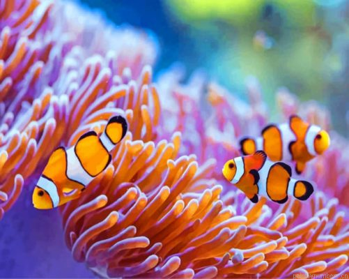 Sea Anemones Painting By Numbers.png