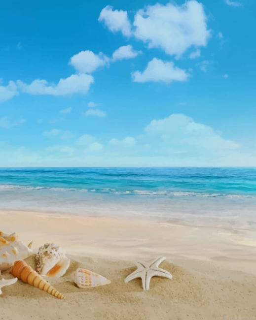 Sea Shells On Beach Painting By Numberss.png