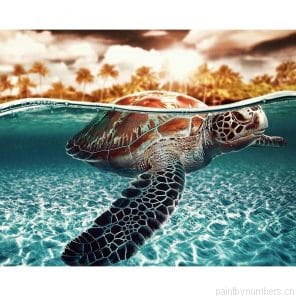Sea Turtle Animals Painting By Numbers.png