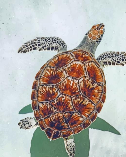 Sea Turtle In The Beach Animals Painting By Numberss.png