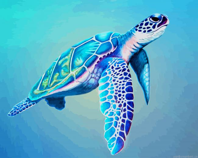 Sea Turtle Painting By Numberss.png