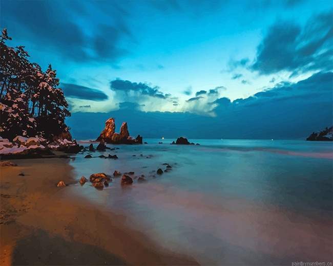 Seascape Night View Painting By Numberss.png