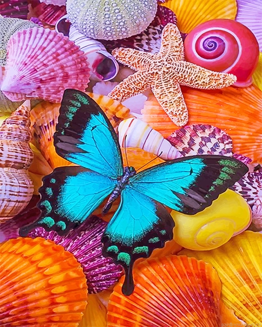 Seashells Blue Butterfly Insects Painting By Numbers.png