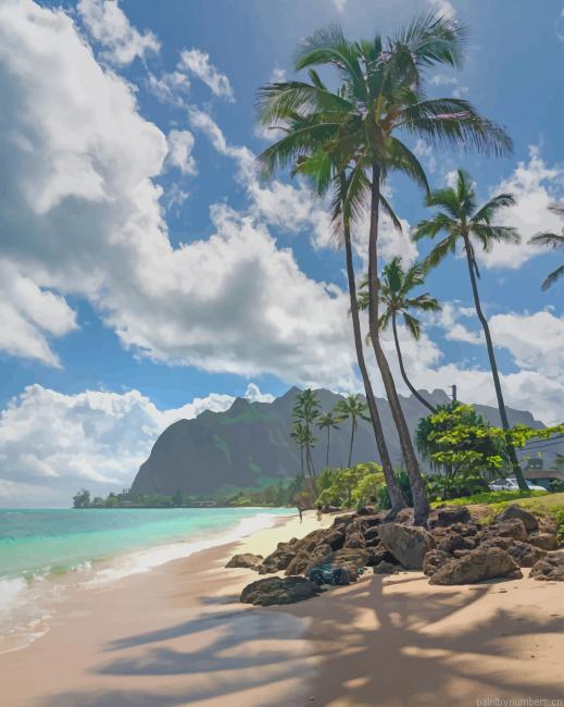 Seaside Hawaii Painting By Numberss.png