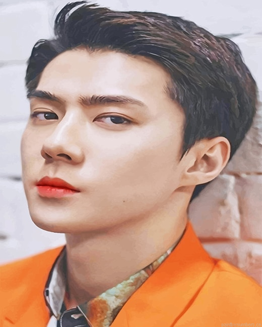 Sehun Exo Band Rapers Painting By Numberss.png