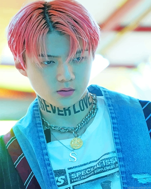 Sehun Pink Hair Rappers Painting By Numberss.png