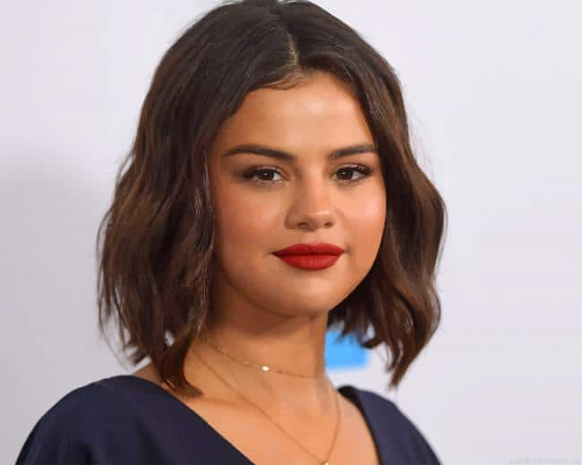 Selena Gomez Short Hair Singers Painting By Numberss.png