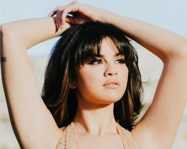 Selena Gomez Singers Painting By Numberss.png