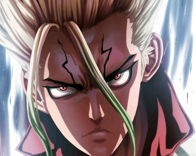 Senku Dr Stone Animations Painting By Numberss.png