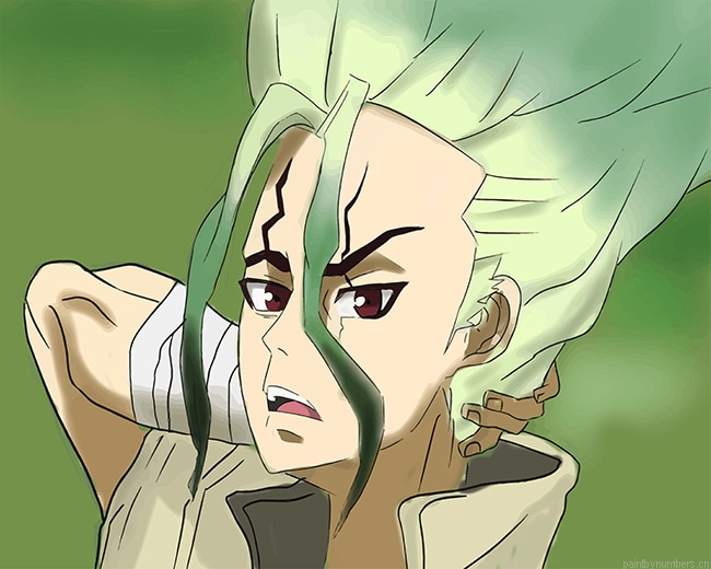 Senku Ishigami Dr Stone Painting By Numberss.png