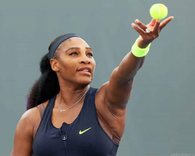 Serena Williams Tennis Player Painting By Numberss.png
