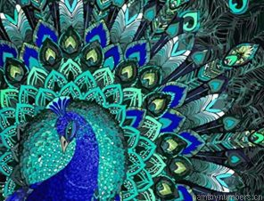 Shapely Peacock Birds Painting By Numbers.png
