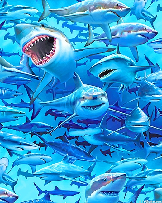 Sharks Frenzy Beach Painting By Numberss.png