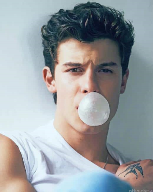 Shawn Mendes Bubble Gum Singers Painting By Numberss.png