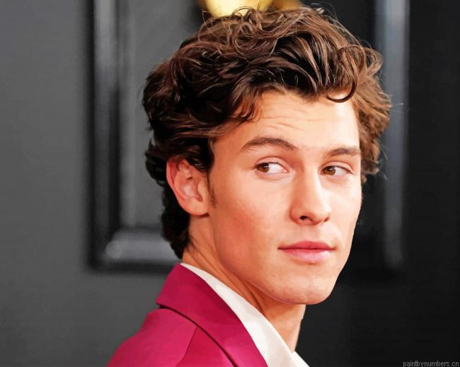 Shawn Mendes Canadian Singer Painting By Numbers.png