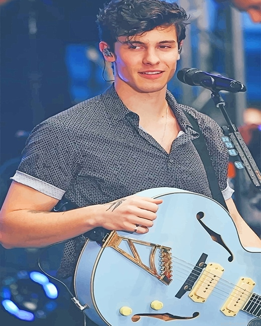 Shawn Mendes On Stage Singers Painting By Numberss.png