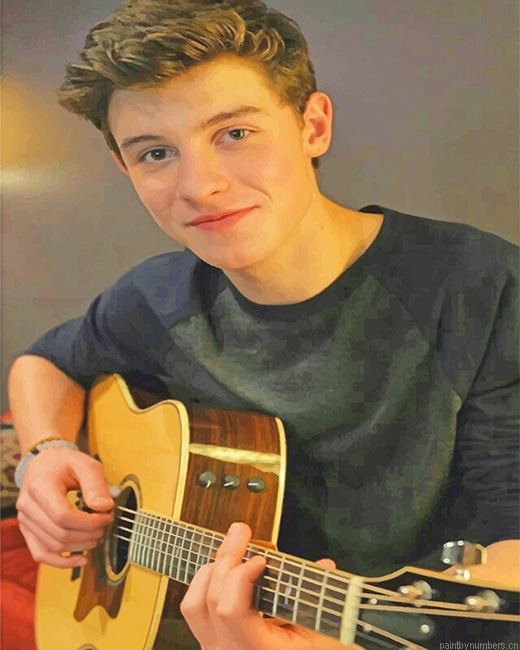 Shawn Mendes Playing Guitar Singers Painting By Numberss.png