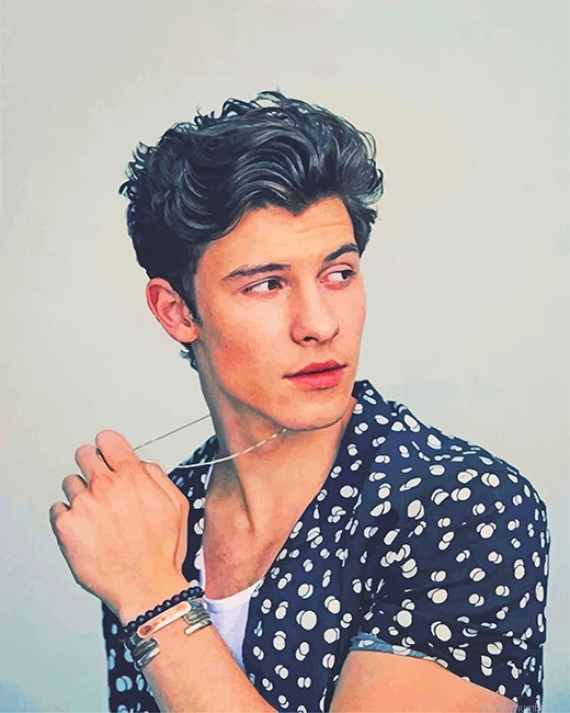 Shawn Mendes Singer Painting By Numberss.png