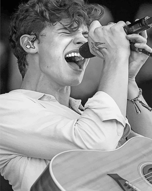 Shawn Mendes Singing Black And White Painting By Numberss.png