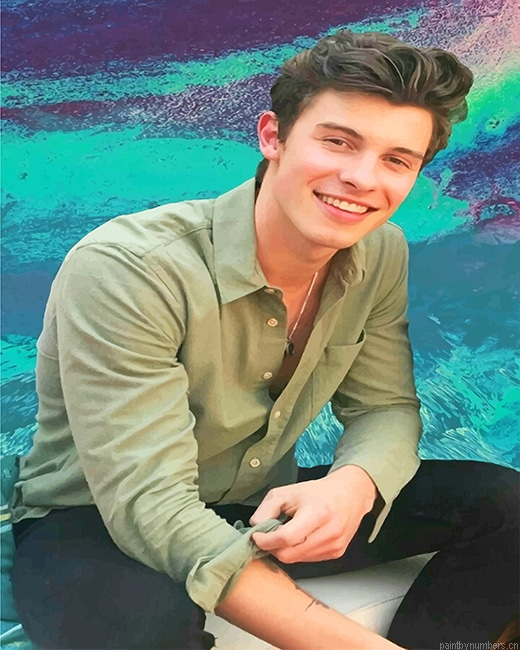 Shawn Mendes Smiling Singers Painting By Numberss.png