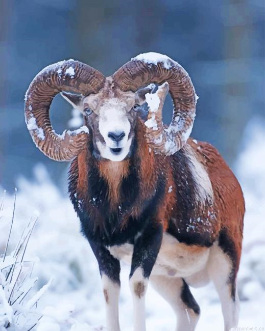 Sheep In Snow Animals Painting By Numberss.png