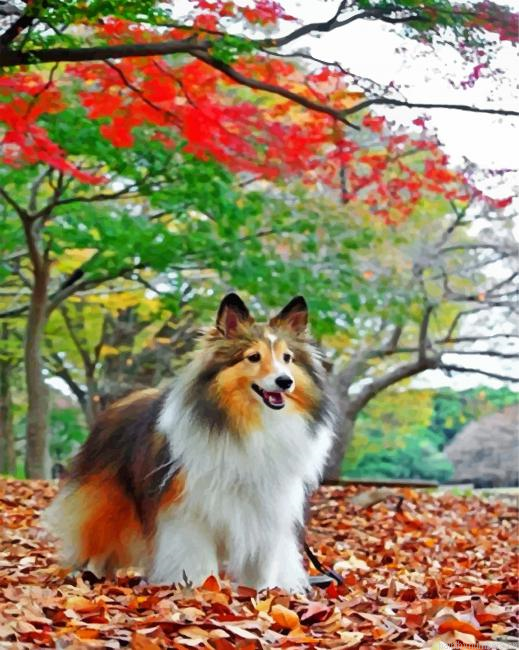 Sheltie Enjoying The Autumn Painting By Numberss.png