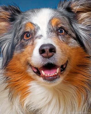 Sheltie Pet Painting By Numbers.png