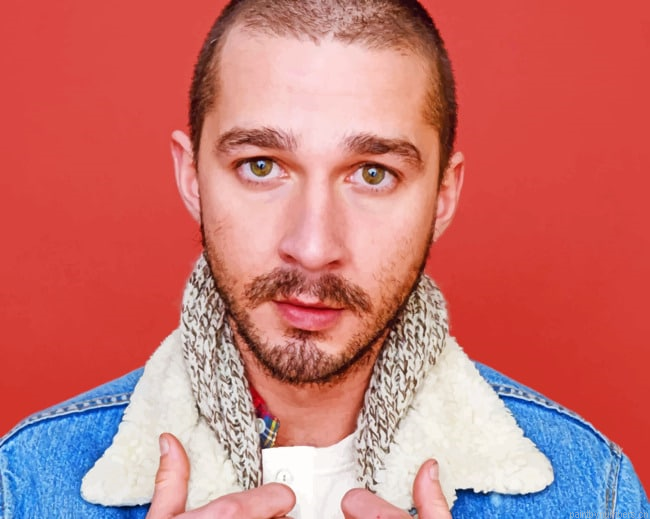 Shia Labeouf Actors Painting By Numbers.png