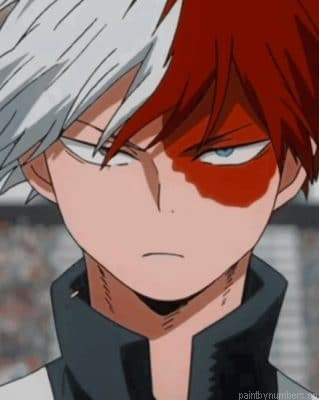Shoto Todoroki Anime Painting By Numberss.png