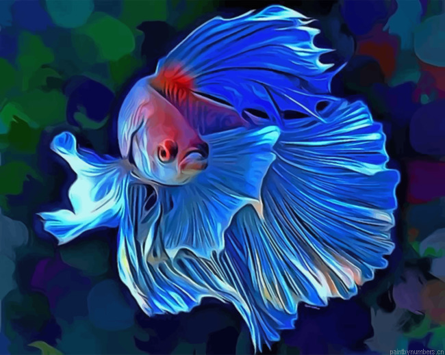 Siamese Fighting Fish Painting By Numbers.png