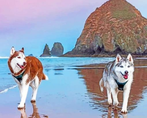 Siberian Huskies On Beach Animals Painting By Numbers.png