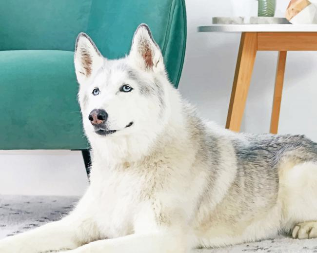 Siberian Husky Dogs Painting By Numberss.png