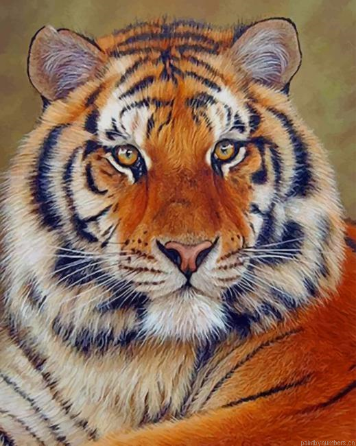 Siberian Tiger Animal Painting By Numberss.png