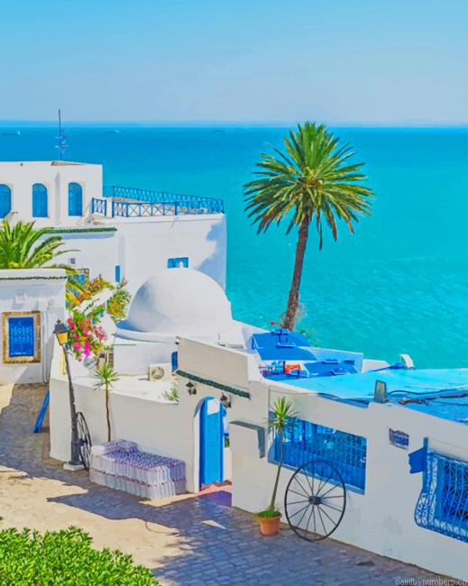 Sidi Bou Said Tunisia Cities Painting By Numberss.png