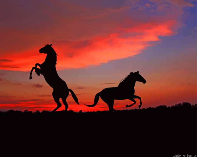 Silhouette Horses At Sunset Animals Painting By Numberss.png