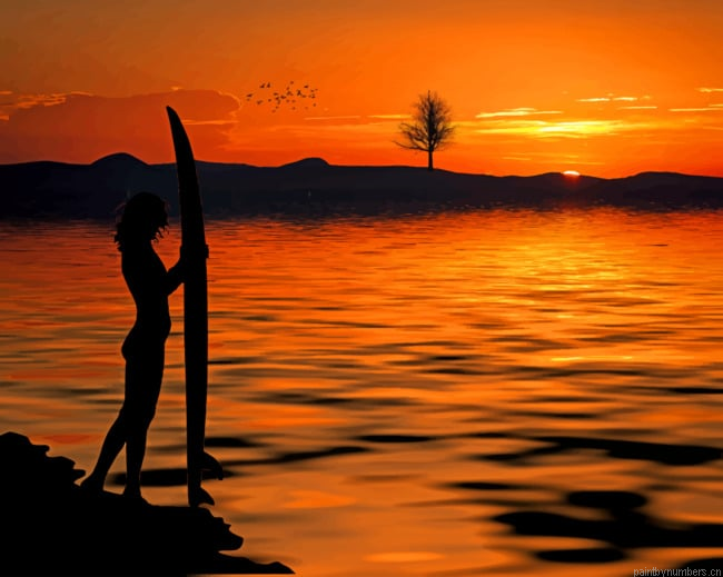 Silhouette Surfer Painting By Numbers.png