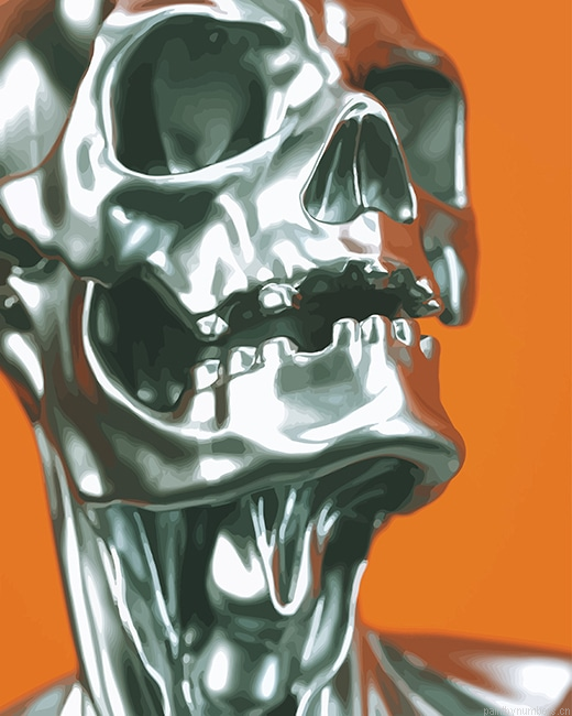 Silver Skull Smack Painting By Numbers.png